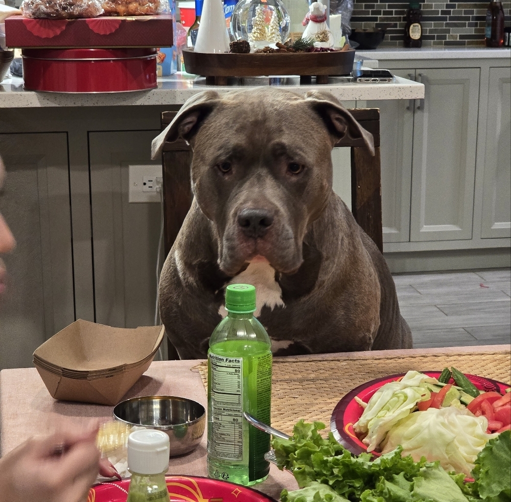 Meet your Posher, Deez